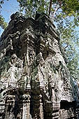 Ta Prohm temple